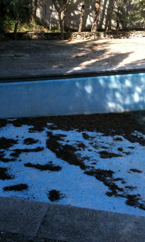 JAZPOOL GALERIA 2024 18 600x1000