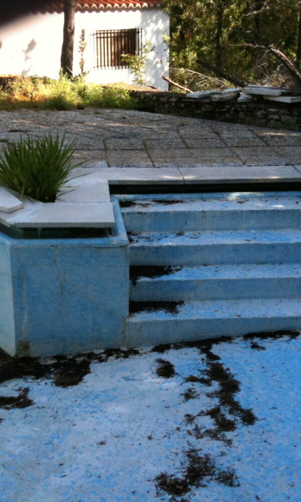 JAZPOOL GALERIA 2024 19 600x1000