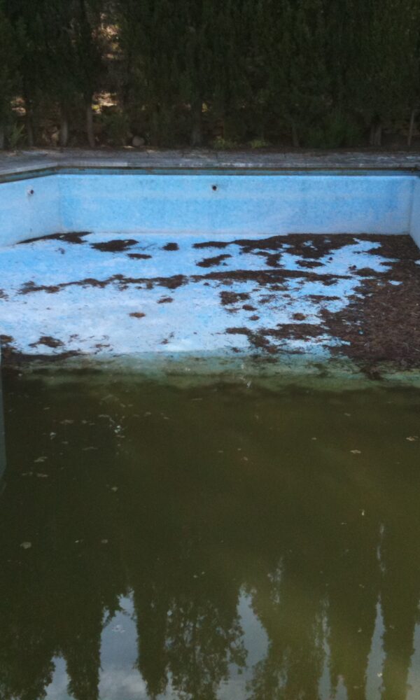 JAZPOOL GALERIA 2024 20 600x1000