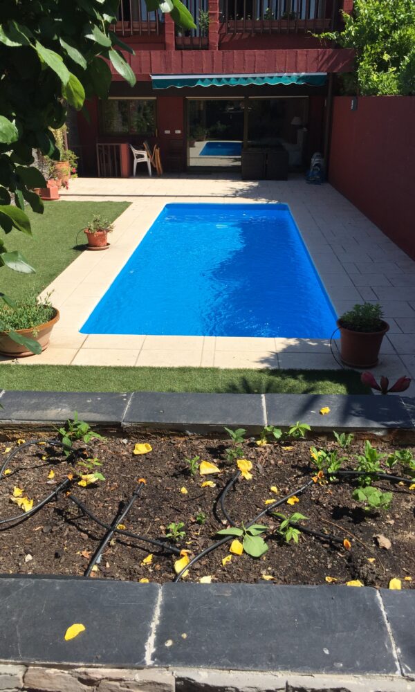 JAZPOOL GALERIA 2024 31 600x1000