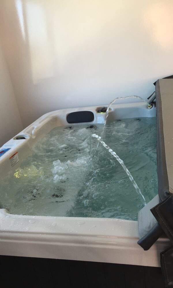 JAZPOOL GALERIA 2024 6 600x1000